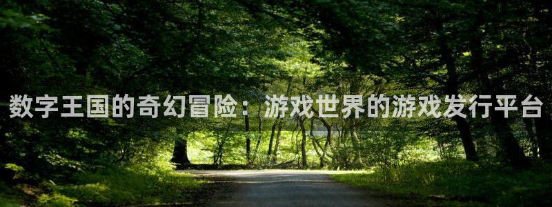 db电竞官网注册平台是什么意思：数字王国的奇幻冒险：游戏世界的游戏发行平台