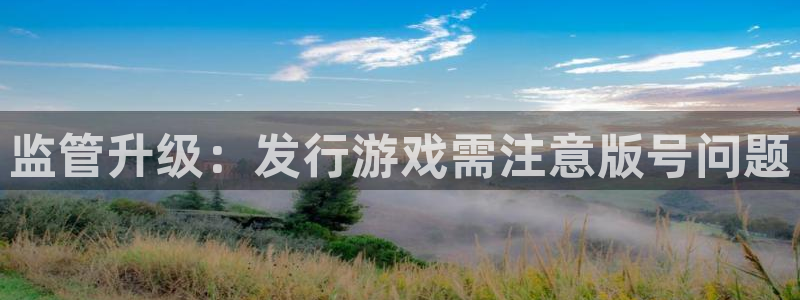 db电竞仓储中心：监管升级：发行游戏需注意版号问题