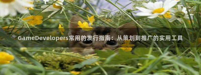 db电竞官网官网注册账号密码：GameDevelopers常用的发行指南：从策划到推广的实用工具