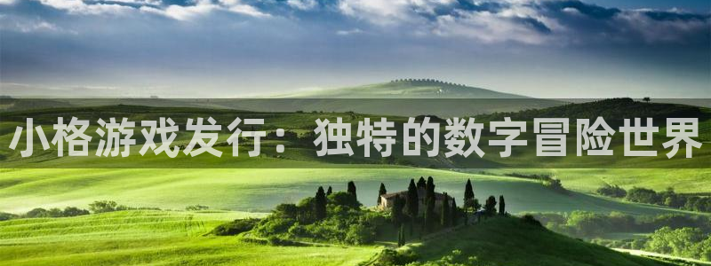 db电竞官网价 5O6917 db电竞：小格游戏发行：独特的数字冒险世界