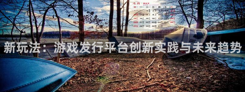 db电竞官网代理注册：新玩法：游戏发行平台创新实践与未来趋势