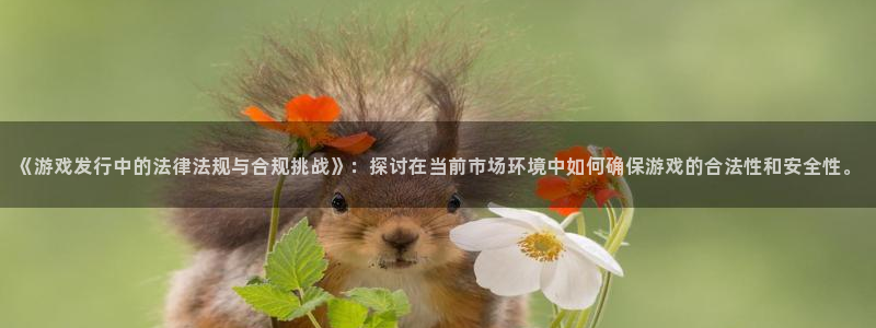 db电竞官网注册地址在哪里啊：《游戏发行中的法律法规与合规挑战》：探讨在当前市场环境中如何确保游戏的合法性和安全性。