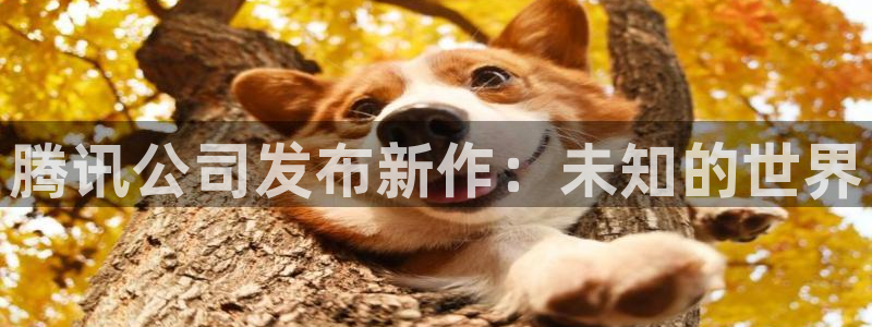 db电竞智邦(北京)品牌策划有限公司：腾讯公司发布新作：未知的世界