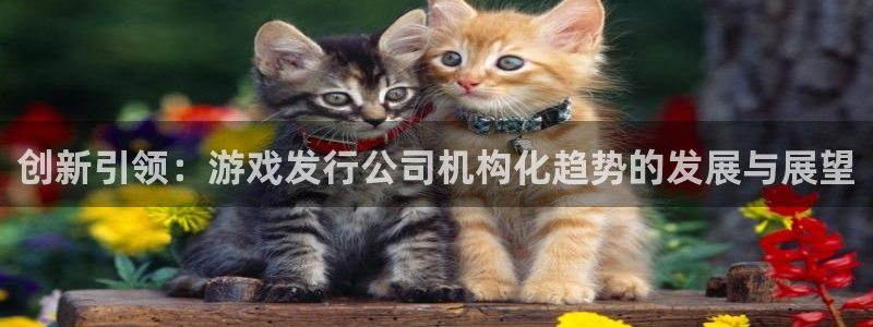 db电竞电子商务有限公司地址：创新引领：游戏发行公司机构化趋势的发展与展望