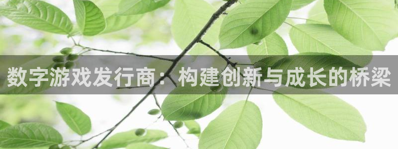 db电竞官网客服服务怎么样：数字游戏发行商：构建创新与成长的桥梁