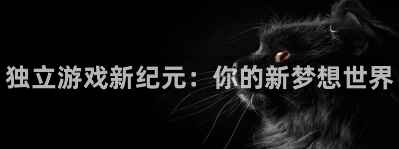 db电竞子代表什么意思：独立游戏新纪元：你的新梦想世界