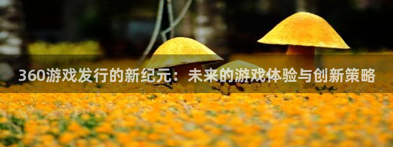 db电竞官网奇趣腾讯分分彩：360游戏发行的新纪元：未来的游戏体验与创新策略