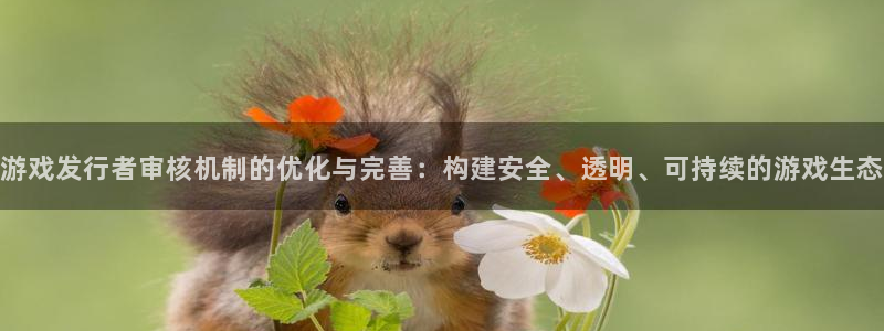 db电竞官网是境外的吗：游戏发行者审核机制的优化与完善：构建安全、透明、可持续的游戏生态