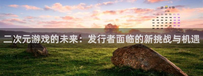 db电竞官网登录注册：二次元游戏的未来：发行者面临的新挑战与机遇
