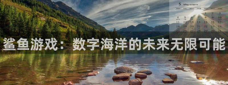 db电竞电商怎么样可靠吗