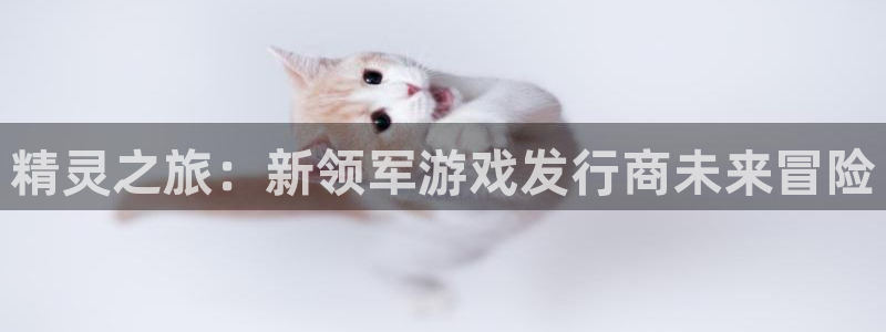 db电竞子招聘