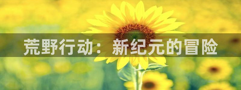 db电竞官网登录注册不了怎么办：荒野行动：新纪元的冒险