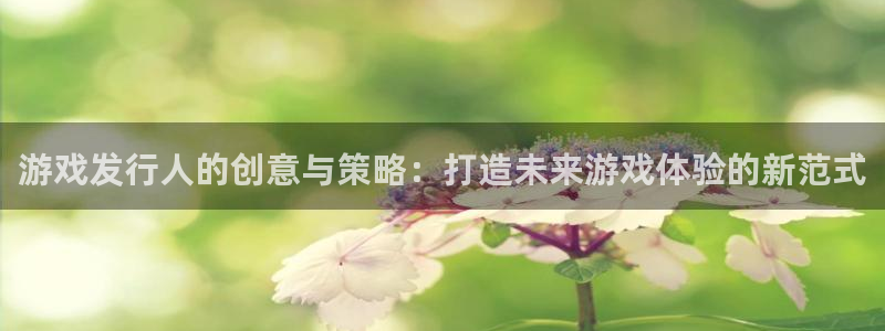 db电竞子经理人读后感：游戏发行人的创意与策略：打造未来游戏体验的新范式
