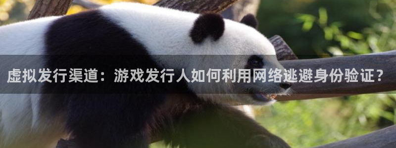 db电竞子音乐：虚拟发行渠道：游戏发行人如何利用网络逃避身份验证？