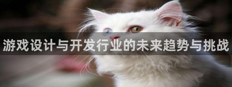db电竞官网注册登录：游戏设计与开发行业的未来趋势与挑战