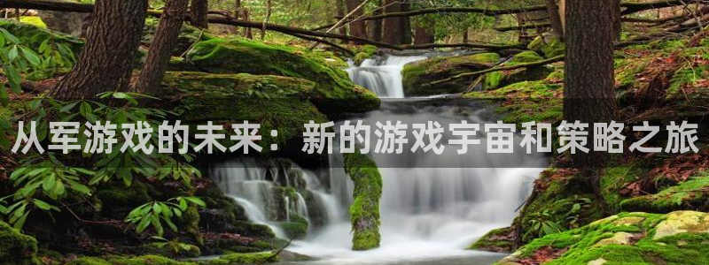 db电竞官网是什么娱乐?：从军游戏的未来：新的游戏宇宙和策略之旅