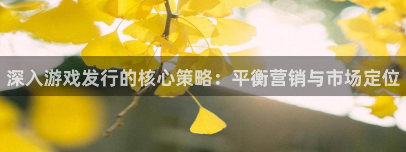 db电竞子文化是干什么的：深入游戏发行的核心策略：平衡营销与市场定位