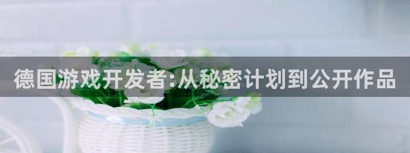 广东db电竞电商bruno：德国游戏开发者:从秘密计划到公开作品