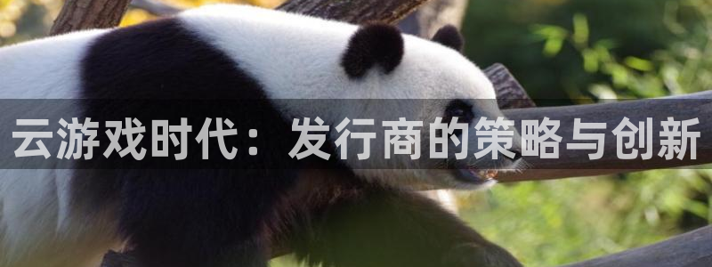db电竞官网客服服务：云游戏时代：发行商的策略与创新