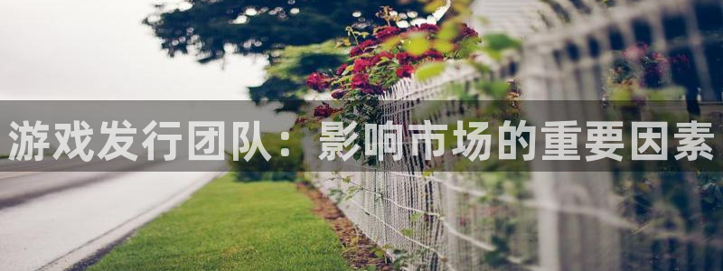 db电竞官网注册方法有哪些呢：游戏发行团队：影响市场的重要因素