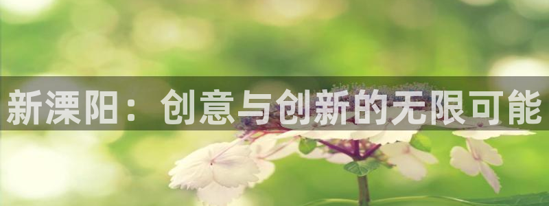 db电竞科技有限公司：新溧阳：创意与创新的无限可能