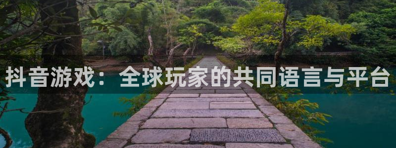 db电竞子文化：抖音游戏：全球玩家的共同语言与平台