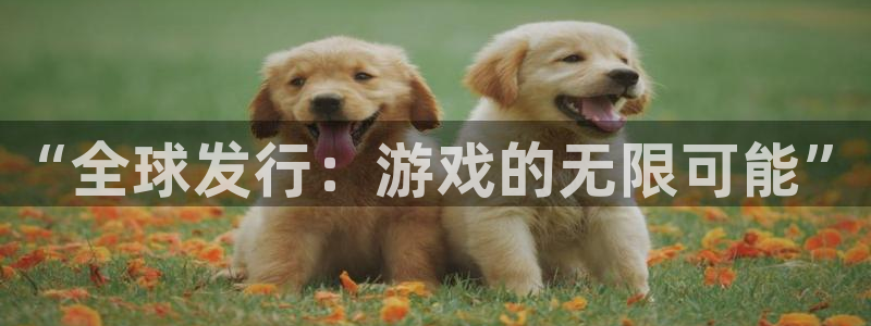 db电竞官网的奇趣腾讯是真的吗吗