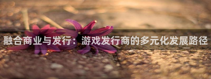 db电竞官网登录注册失败怎么办：融合商业与发行：游戏发行商的多元化发展路径