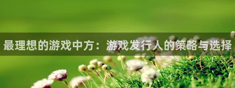 db电竞子公司怎么样知乎