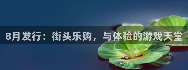 db电竞官网平台代理开号：8月发行：街头乐购，与体验的游戏天堂