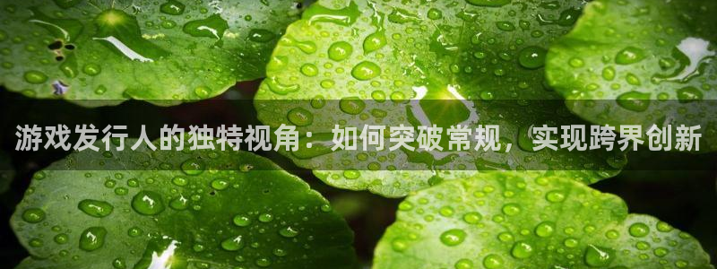 db电竞子教育科技(江门)有限公司：游戏发行人的独特视角：如何突破常规，实现跨界创新
